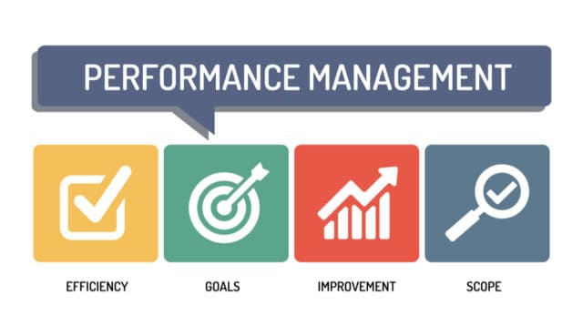 Performance Management Systems and Key Performance Indicators