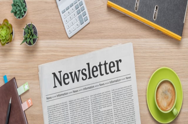 How Important is Newsletter Design for Increasing Sales of a Firm?